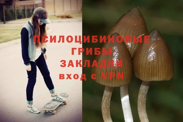 индика Бугульма